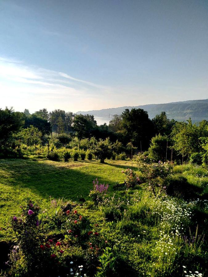 Seenah - Ihre Am Bodensee / Untersee *
